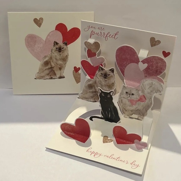 NEW ~SET OF 8~ Different ~Valentine’s  Day ~POP UP CARDS~ HEARTS FLOWERS ~SEALED - Picture 15 of 16